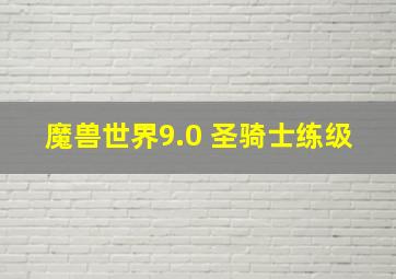 魔兽世界9.0 圣骑士练级